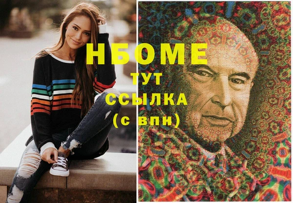 индика Верея