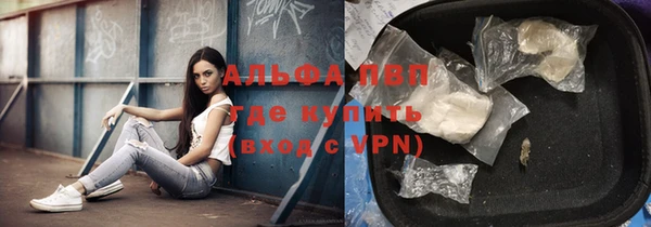 индика Верея