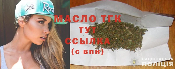 сатива Бородино
