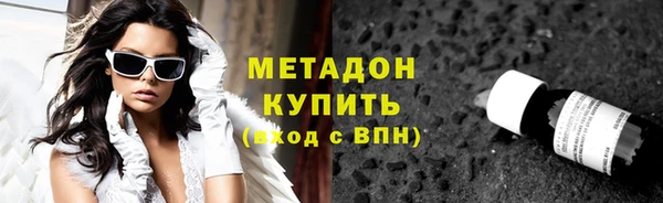 прущие грибы Верхний Тагил