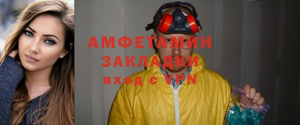 прущие грибы Верхний Тагил