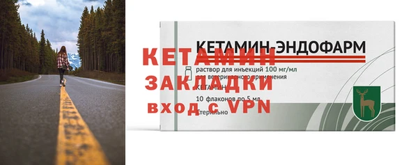 прущие грибы Верхний Тагил