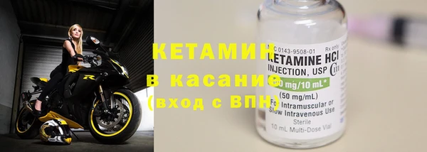 прущие грибы Верхний Тагил