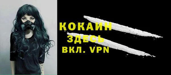 индика Верея