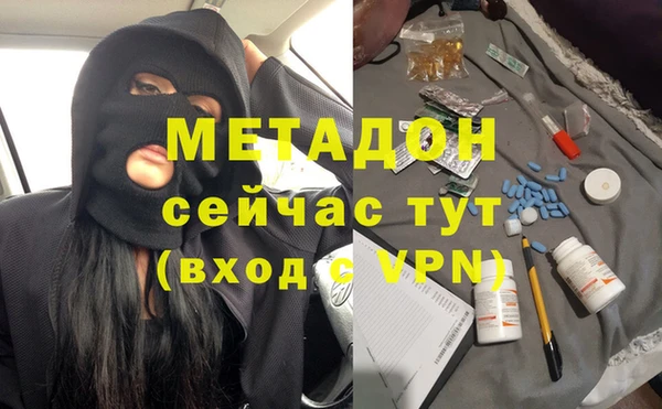 прущие грибы Верхний Тагил