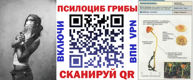 купить наркоту  Красково  Псилоцибиновые грибы MAGIC MUSHROOMS 